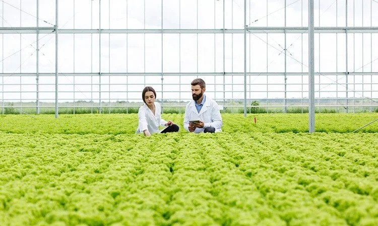 cultivatinga greener future2 cultivatinga greener future2