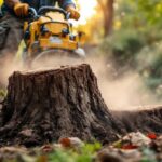tree stump removal