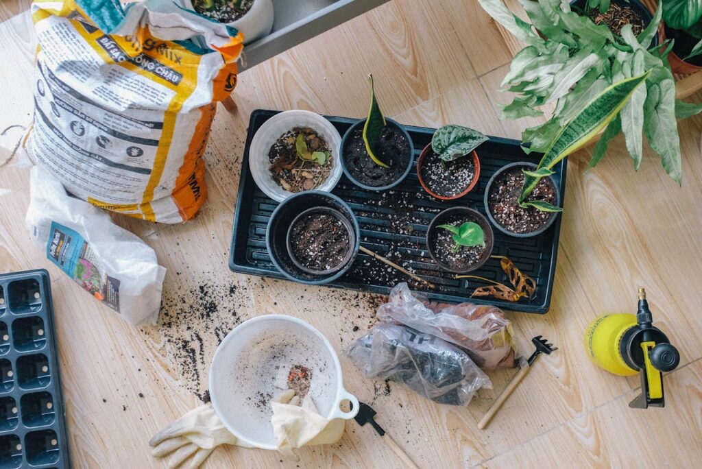 pexels photo 2987081 Aerial view of indoor gardening tools and potted plants layout.