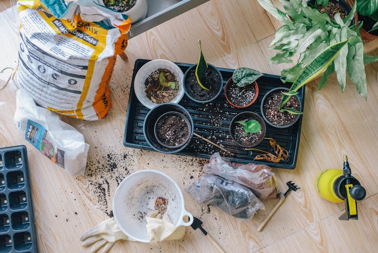 gallery-03 Aerial view of indoor gardening tools and potted plants layout.