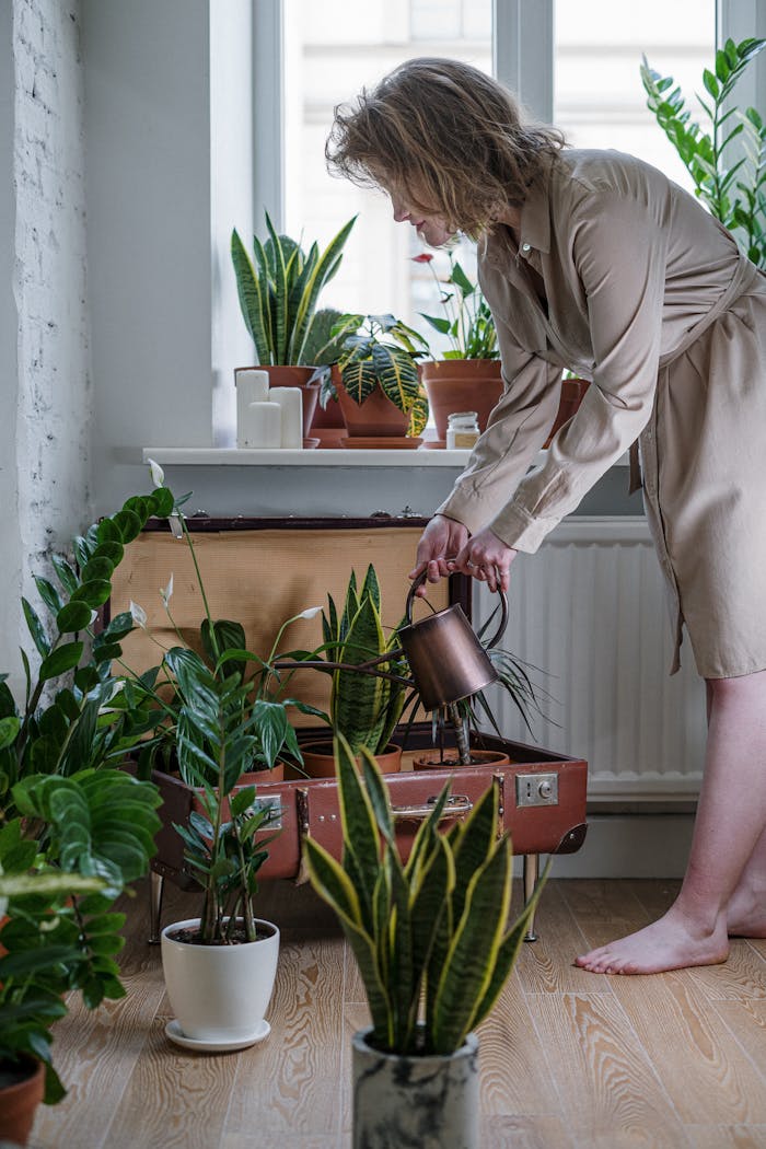 trusted-partner A woman watering houseplants inside a home near a window, creating a serene gardening ambiance.