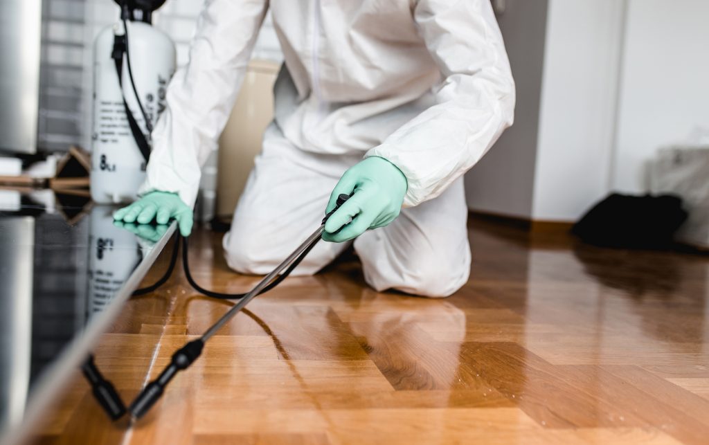 Why Booking a Termite Inspection Sydney Pest Technicians Offer Is Crucial is the material used to build your house contributing to pest infestation