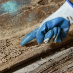 pest control termite