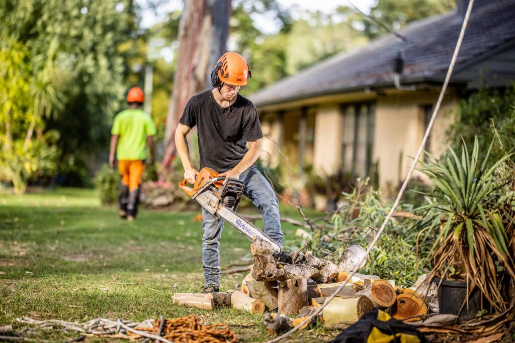 Tree Lopping Sydney Vs Tree Pruning Sydney: Which Is Better tree removal